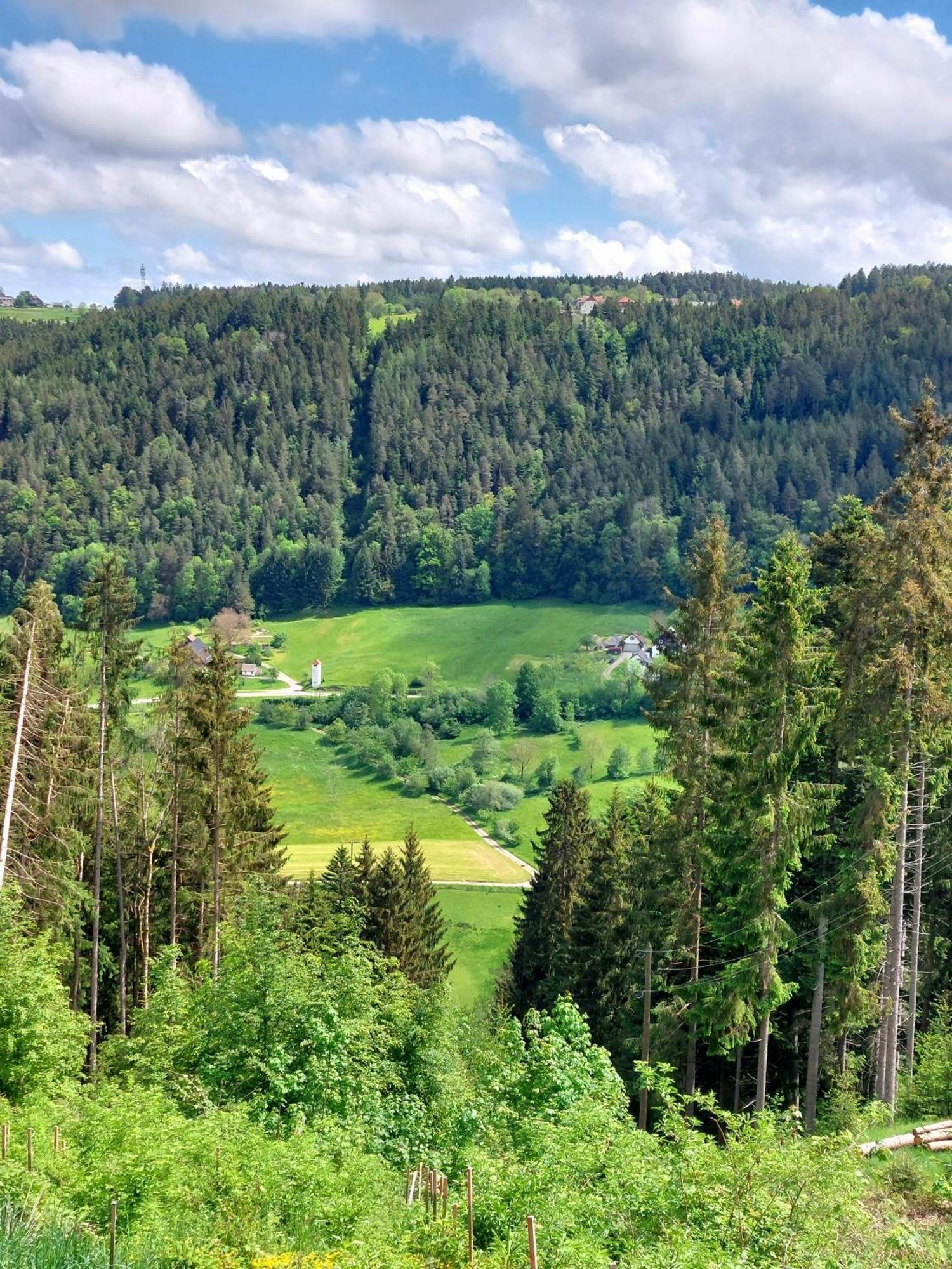 Gaestehaus Walter *